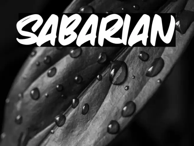 Sabarian Font examples