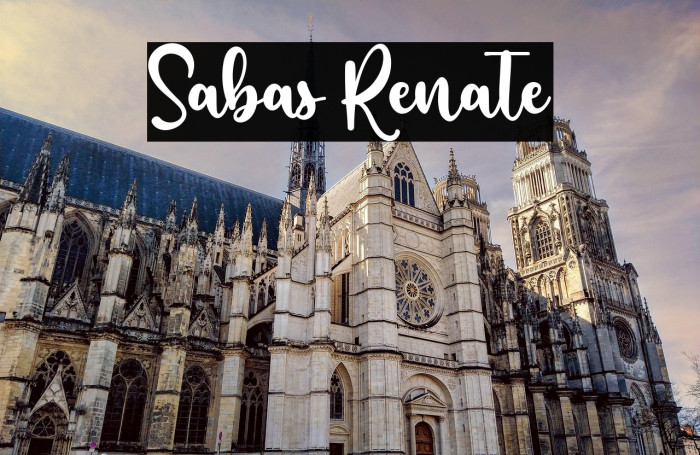 Sabas Renate Example 1