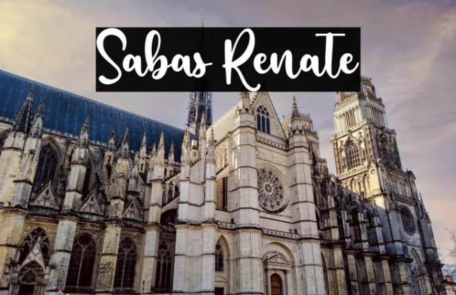 Sabas Renate Example 1