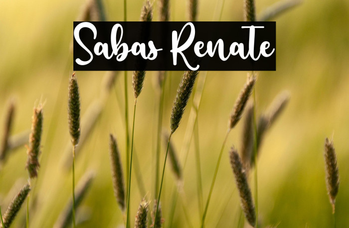 Sabas Renate Example 2