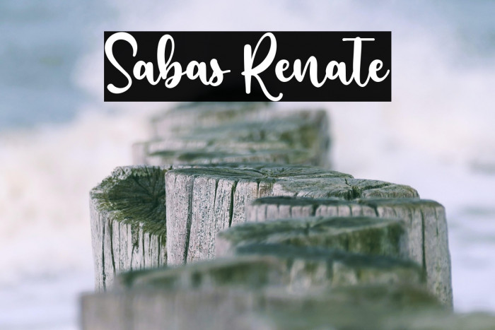 Sabas Renate Example 3