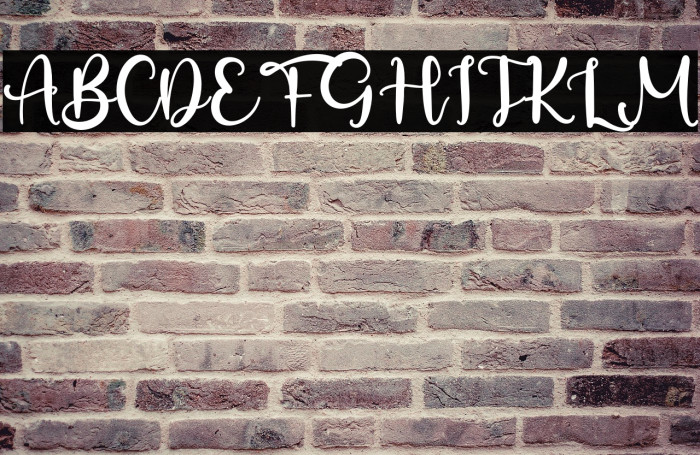 SabasRenate Example 1