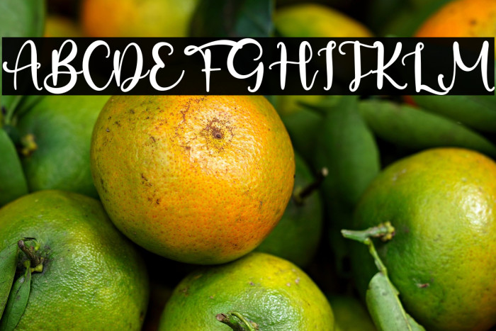 SabasRenate Example 2