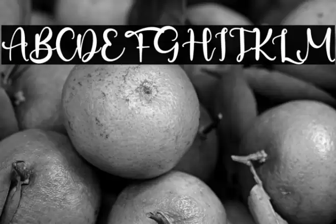 SabasRenate Font examples