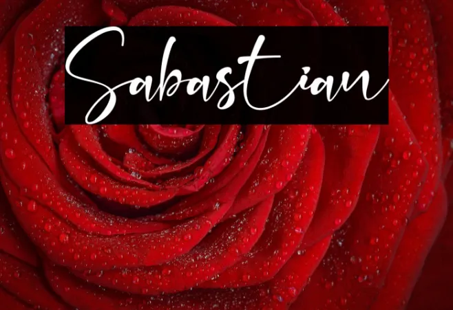 Sabastian Example 3