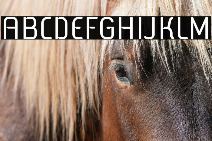 SabaticaRegular Example 2