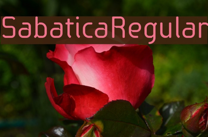 SabaticaRegular फ़ॉन्ट examples