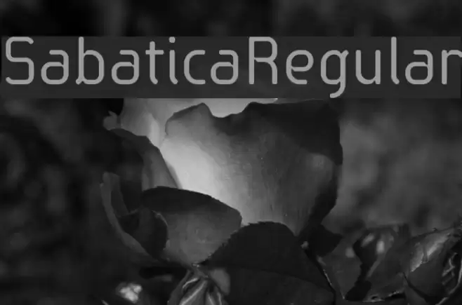 SabaticaRegular फ़ॉन्ट examples