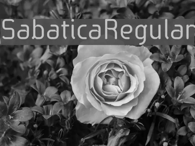 SabaticaRegular फ़ॉन्ट examples