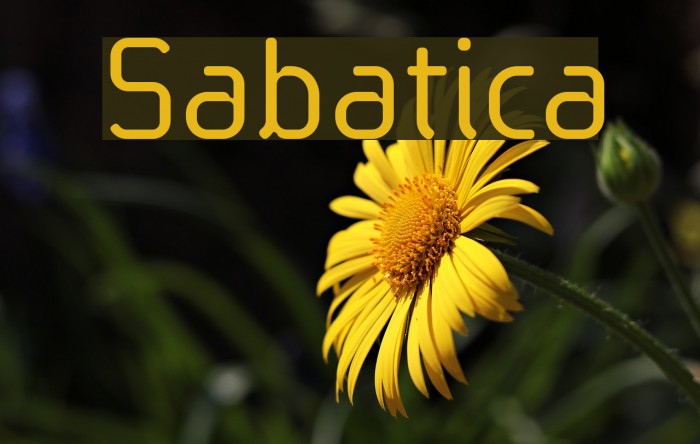 Sabatica Font examples