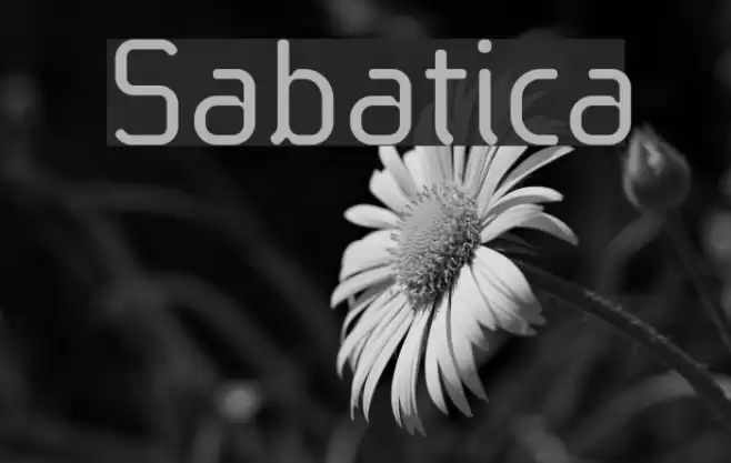 Sabatica Font examples