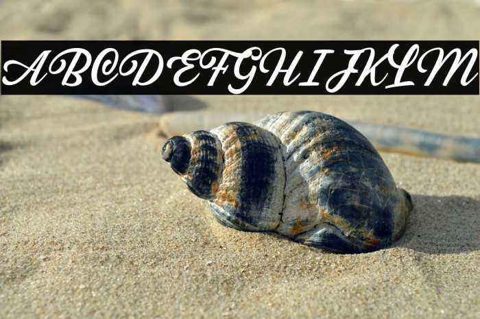 SabatonsScriptDEMO Example 1