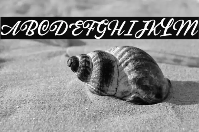 SabatonsScriptDEMO Font examples