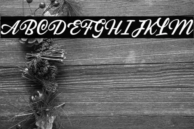 SabatonsScriptDEMO Font examples