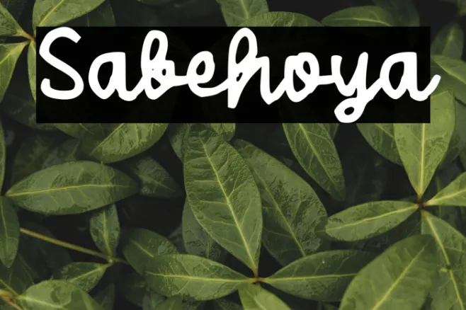 Sabehoya Example 1