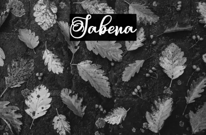 Sabena Font examples