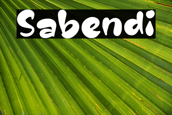 Sabendi Example 1