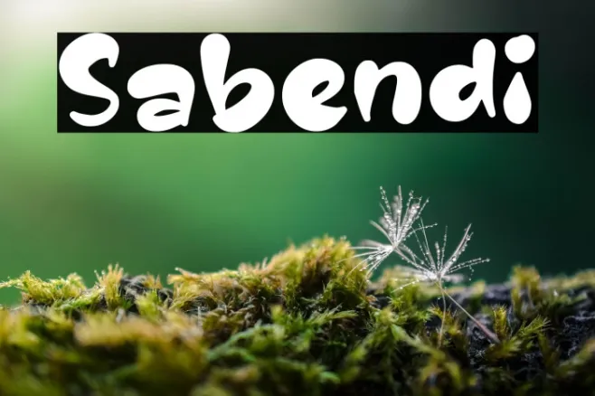 Sabendi Example 2