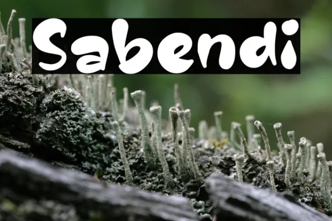 Sabendi Example 3