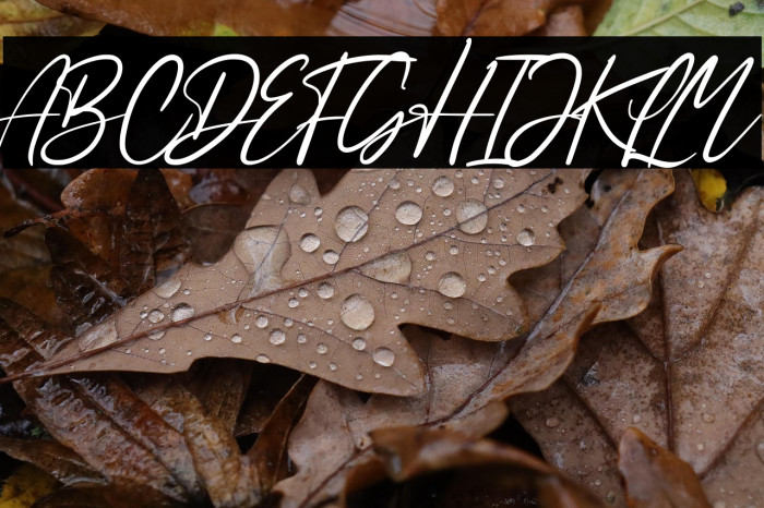 Sabeny Betranss Example 2