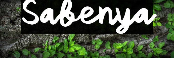 Sabenya Example 2
