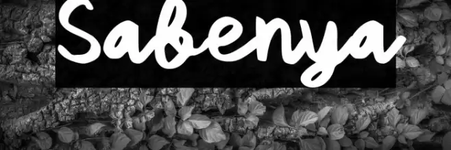 Sabenya Font examples