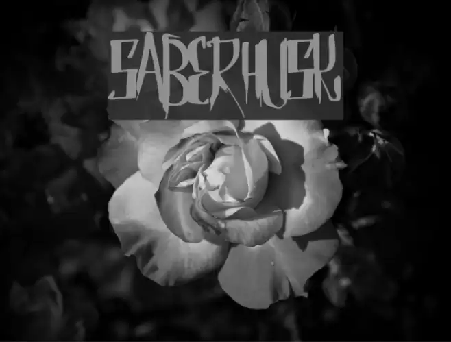 SaberHusk Font examples