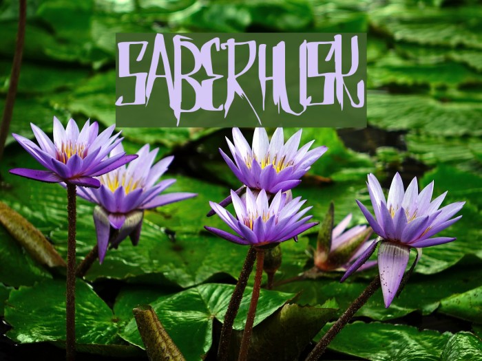 SaberHusk Font examples