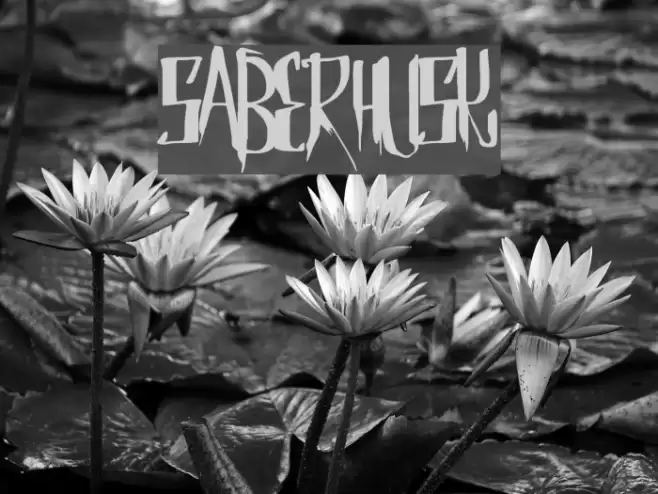 SaberHusk Font examples