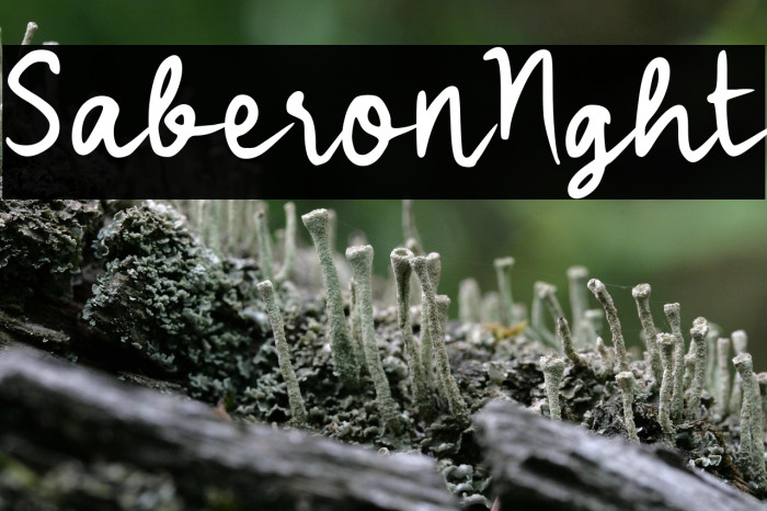 Saberon Night Example 3