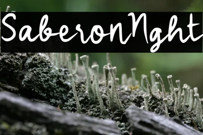 Saberon Night Example 3