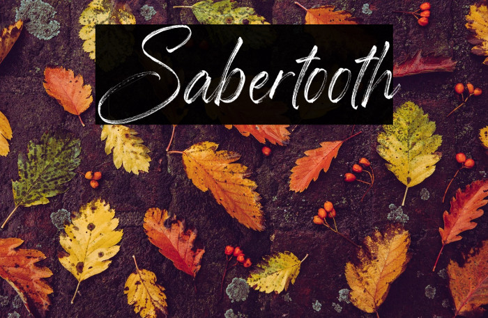 Sabertooth Example 2