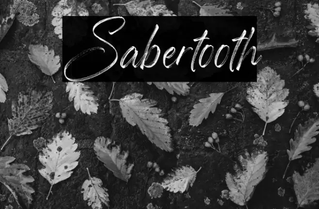 Sabertooth Font examples