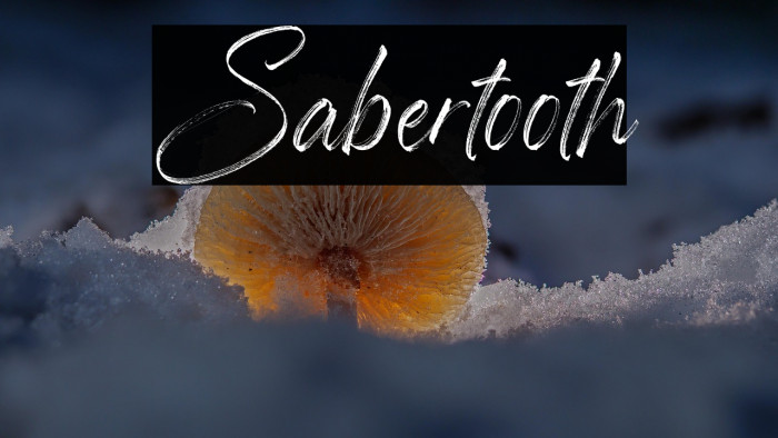 Sabertooth Example 3