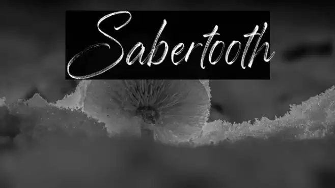 Sabertooth Font examples