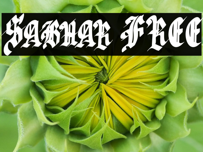 Sabhar FREE Example 1