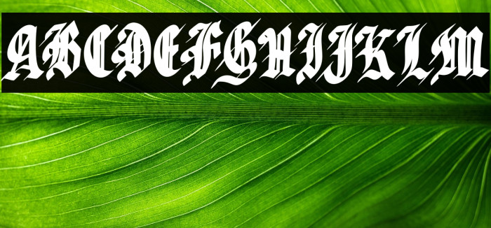 SabharFREE Example 1