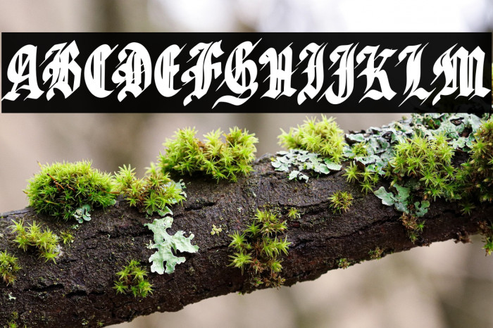 SabharFREE Example 3