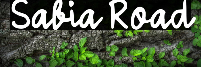 Sabia Road Example 3