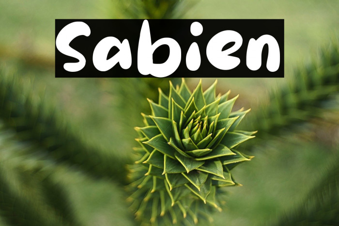 Sabien Example 2