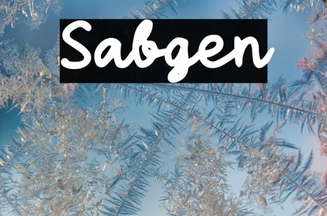 Sabigen Example 1