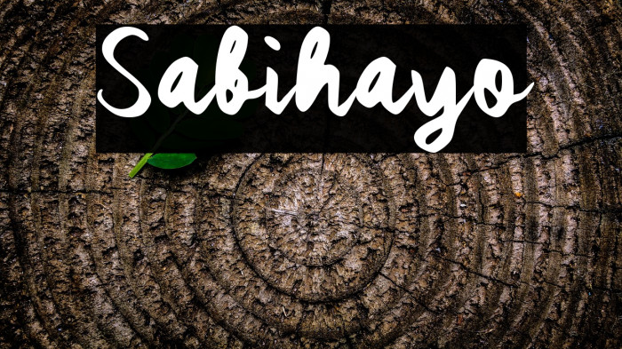 Sabihayo Example 3