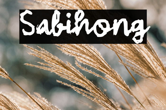 Sabihong Example 3