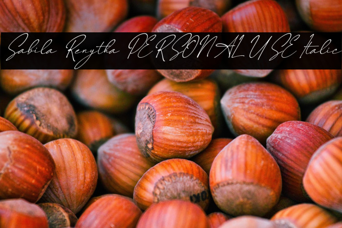 Sabila Renytha PERSONAL USE Italic Example 2