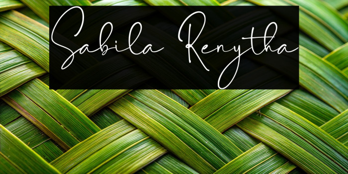 Sabila Renytha Example 1