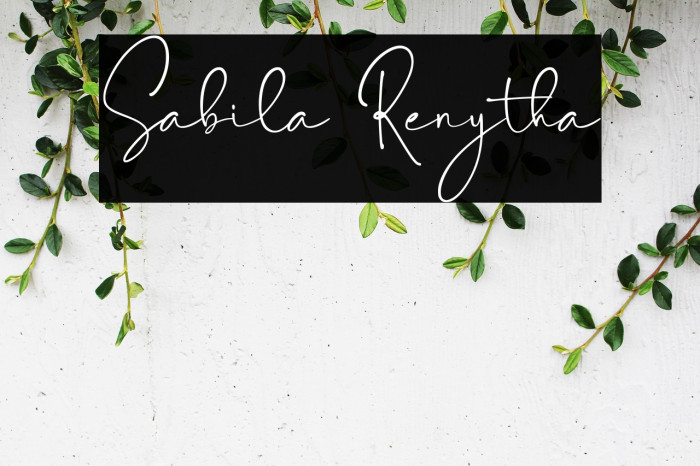 Sabila Renytha Example 2