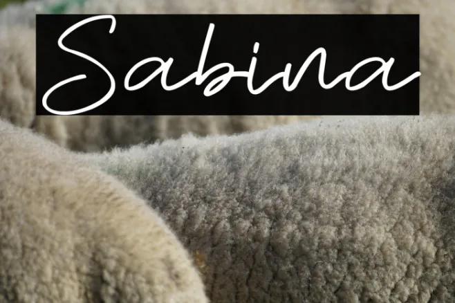 Sabina Example 1