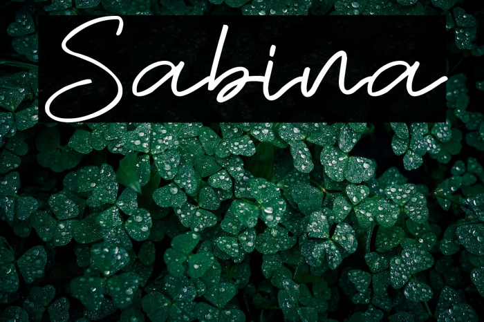 Sabina Example 2