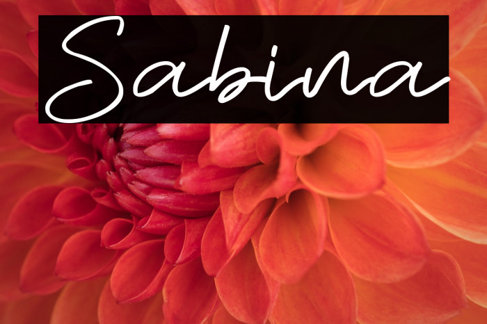 Sabina Example 3
