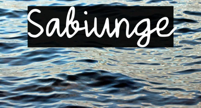 Sabiunge Example 3